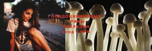 прущие крисы Алексин